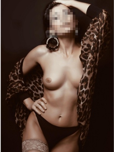 Escort Tsditta, Horowhenua - 17224